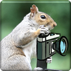 Animalphotos icon