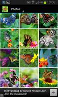 Butterfly Wallpapers imagem de tela 3
