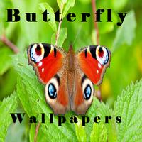 Butterfly Wallpapers Cartaz