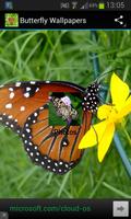 Butterfly Wallpapers imagem de tela 1