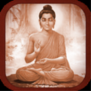 Basic Buddhism APK