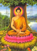 Basic Buddhism imagem de tela 3