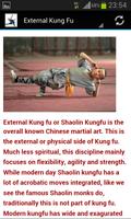 Shaolin Kung fu capture d'écran 3