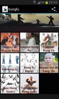 Shaolin Kung fu poster