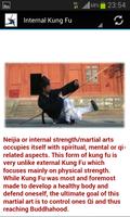 Shaolin Kung fu capture d'écran 2