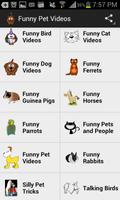Funny Pet Videos Poster