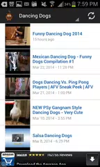 Funny Pet Videos APK Herunterladen