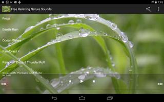 Free Relaxing Nature Sounds ภาพหน้าจอ 2