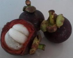 Manfaat Buah-buahan Screenshot 1