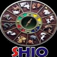 Kelahiran Menurut Shio Zodiak screenshot 1