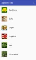 Detox Foods Ekran Görüntüsü 1