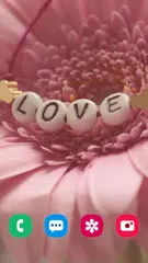 Baixar Papel de parede de amor XAPK