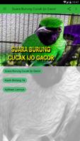 Poster Suara Burung Cucak Ijo Gacor