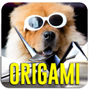 Origami Guide App in HD APK