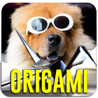 Origami Guide App in HD أيقونة