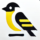 Canto reclamo jilguero Maestro APK