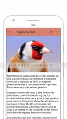 Canto reclamo jilguero Maestro XAPK 下載