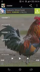 Rooster sounds APK download
