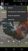 rooster suara screenshot 1