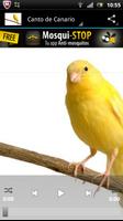 canary poster
