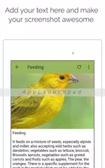 Canary APK download