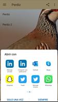 Reclamo perdiz ảnh chụp màn hình 2