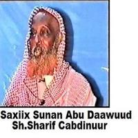 Saxiix Sunan Abi Daawuud gönderen