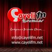 Çayeli Fm ไอคอน