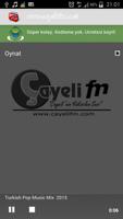 Çayeli Fm تصوير الشاشة 1