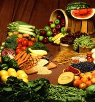 Fat Burning Food poster