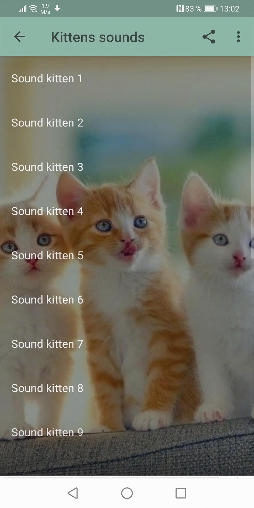 Аудио кошка зовет. 13 Котят звук. Рингтон кошка. Кошать котенком звук. Which Sounds Cat do.