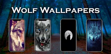 Wolf Wallpapers