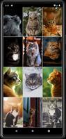 Cat Wallpapers ảnh chụp màn hình 3