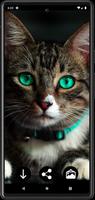 Wallpaper Kucing syot layar 1