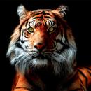 APK Sfondi tigre