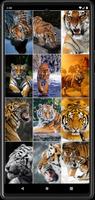 Tiger Wallpapers 截图 3