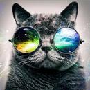 Hipster Wallpapers APK