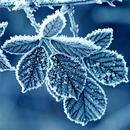 APK Sfondi invernali