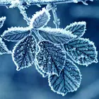 Winter Wallpapers