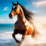Horse Wallpapers-APK