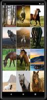 برنامه‌نما Horse Wallpapers عکس از صفحه
