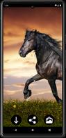 Horse Wallpapers-poster