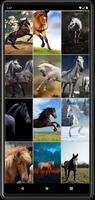 Horse Wallpapers ảnh chụp màn hình 1