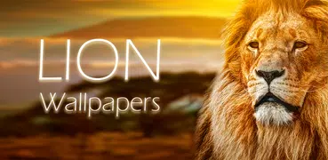 ライオンの壁紙
