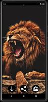 Lion Wallpapers پوسٹر