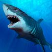 Shark Wallpapers icon
