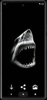 Fonds d'écran de requin Affiche