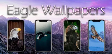 Eagle Wallpapers | HD quality
