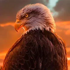 Eagle Wallpapers APK download