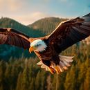 Eagle Wallpapers APK